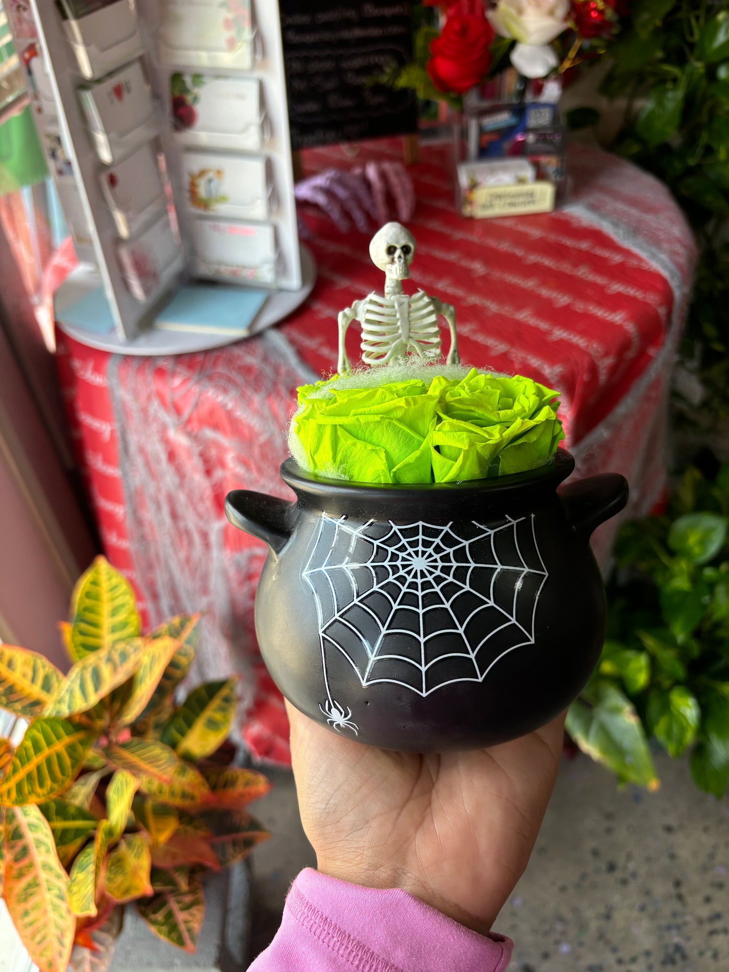 Forever roses (3yr+) lasting 🕷️+ witch pot