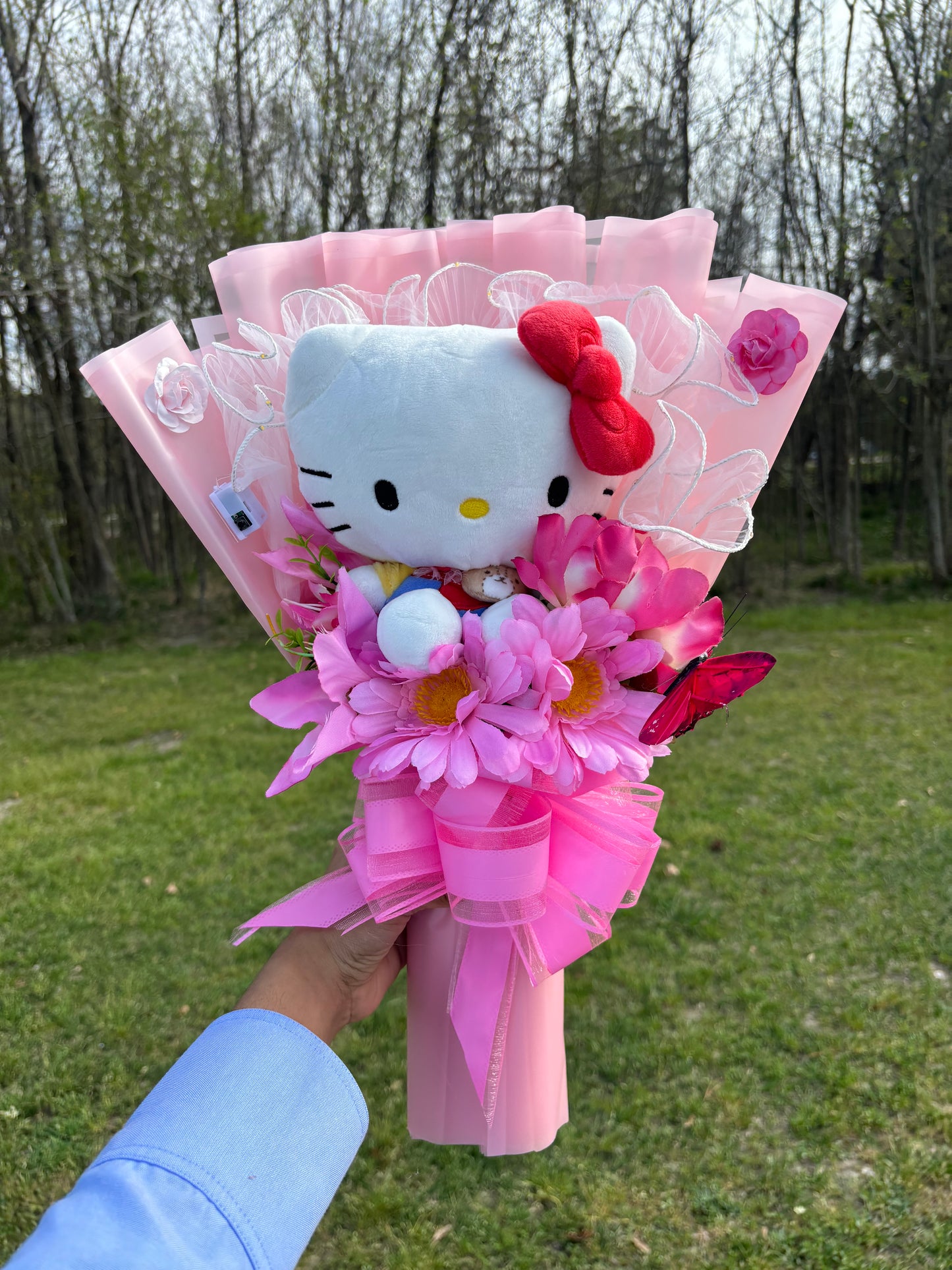 Spring Hello Kitty🌷✨🫧 With LED light mesh