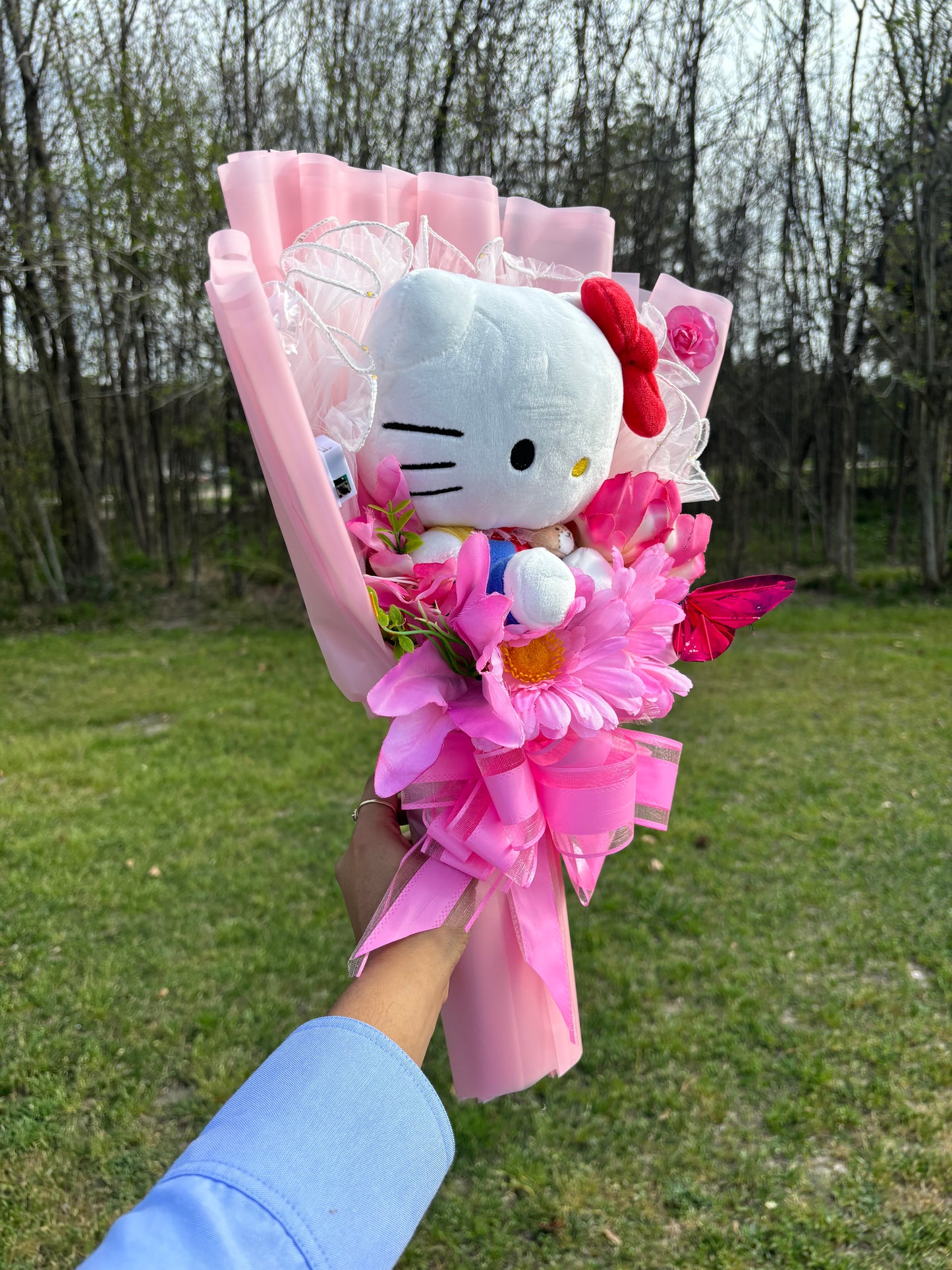 Spring Hello Kitty🌷✨🫧 With LED light mesh