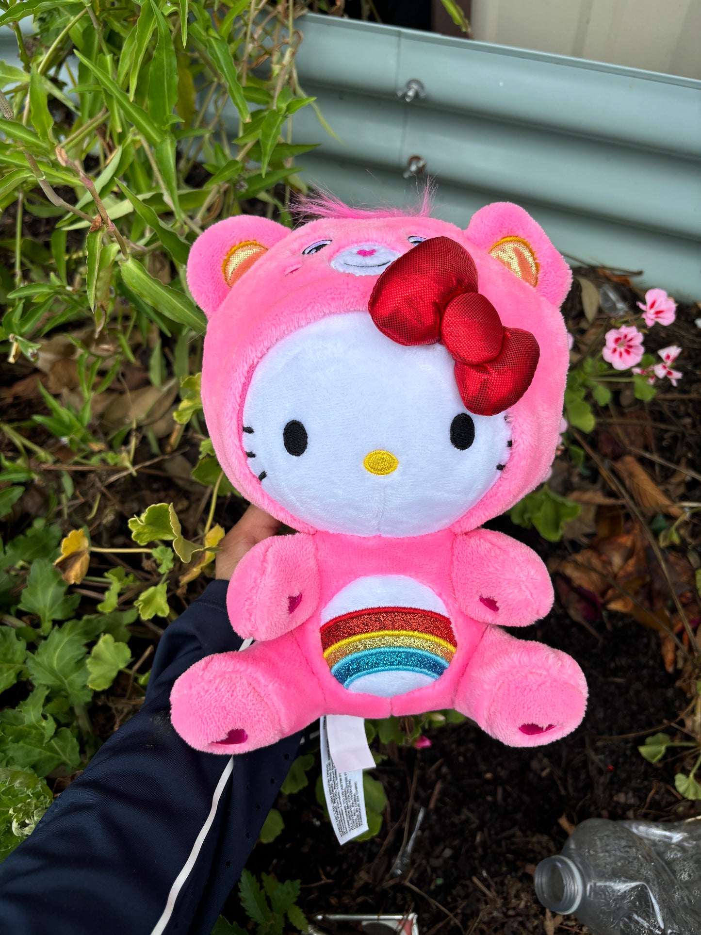 Care Bear X Hello Kitty🪄